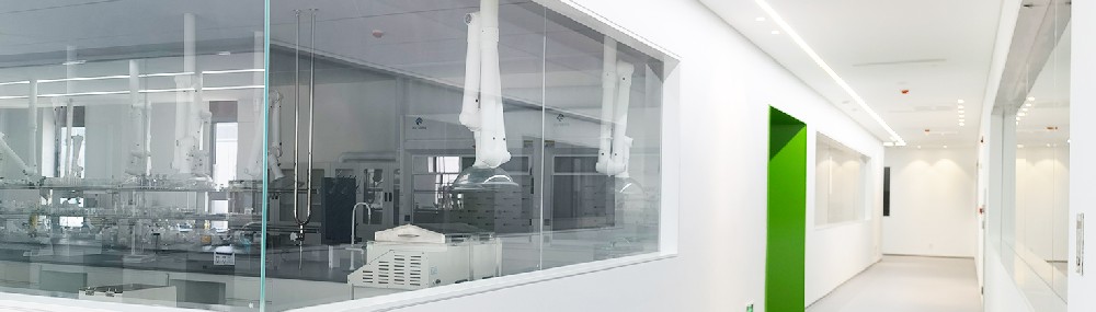 Z6尊龙集团官方网站药业：栉风沐雨十二载 员工踔厉奋发共前进